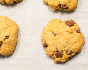 Chocolate chip cookies freshly baked. Gluten free, vegan, and soy free.