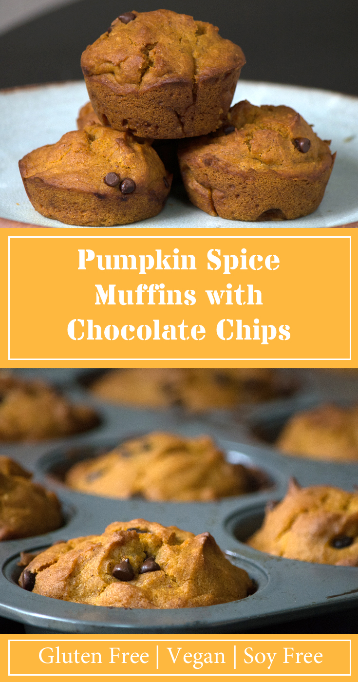 Pumpkin Spice Muffins with chocolate chips. Vegan, Gluten free, soy free.