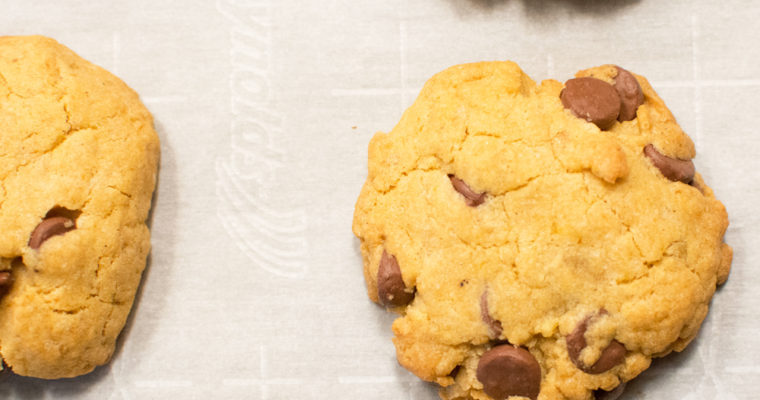Chocolate Chip Cookies Gluten Free Vegan and Soy Free