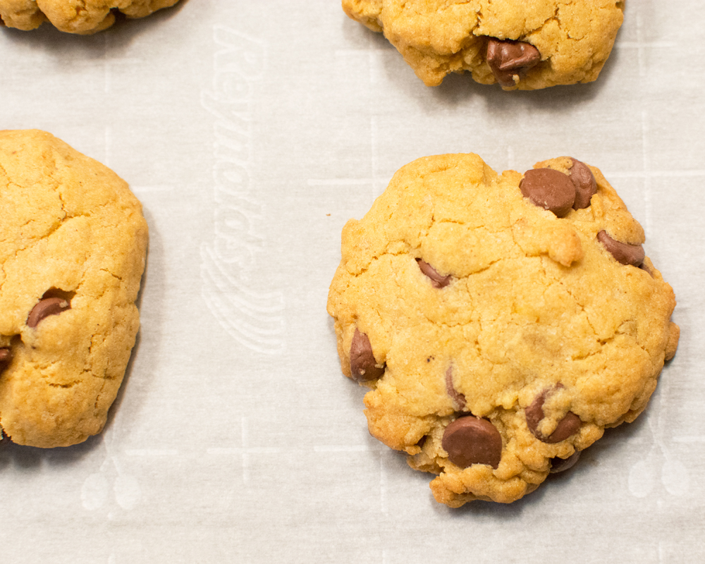Chocolate Chip Cookies Gluten Free Vegan and Soy Free